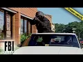 The Most Violent Bank Robbery Of The Century | The FBI Files