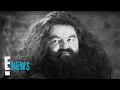 Harry Potter Actor Robbie Coltrane Dead at 72 E News