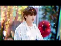 නුඹ හා l Jungkook AI Cover Sinhala Song