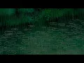 Chopin - Berceuse in D Flat Major 1 Hour Loop + Rain Sleep/Study