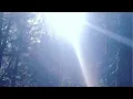 Better Days Freestyle