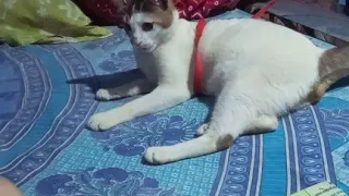 ফিরে দেখা কিছু স্মৃতি !