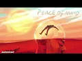 Rema - Peace Of Mind (Official Instrumental)