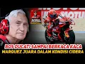 Download Lagu MARC MARQUEZ JUARA🏆BOS DUCATI SAMPAI BERKACA² DENGAN KONDISI CIDERA MARC BISA RAIH PODIUM  #DutchGP