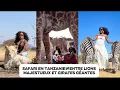 Download Lagu DAILLY VLOG : SAFARI À ARUSHA RENCONTRE INCROYABLE AVEC LES LIONS, GIRAFES ET ZÈBRES. 🦁🦒🦓