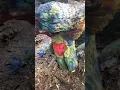 The Hippie Tree