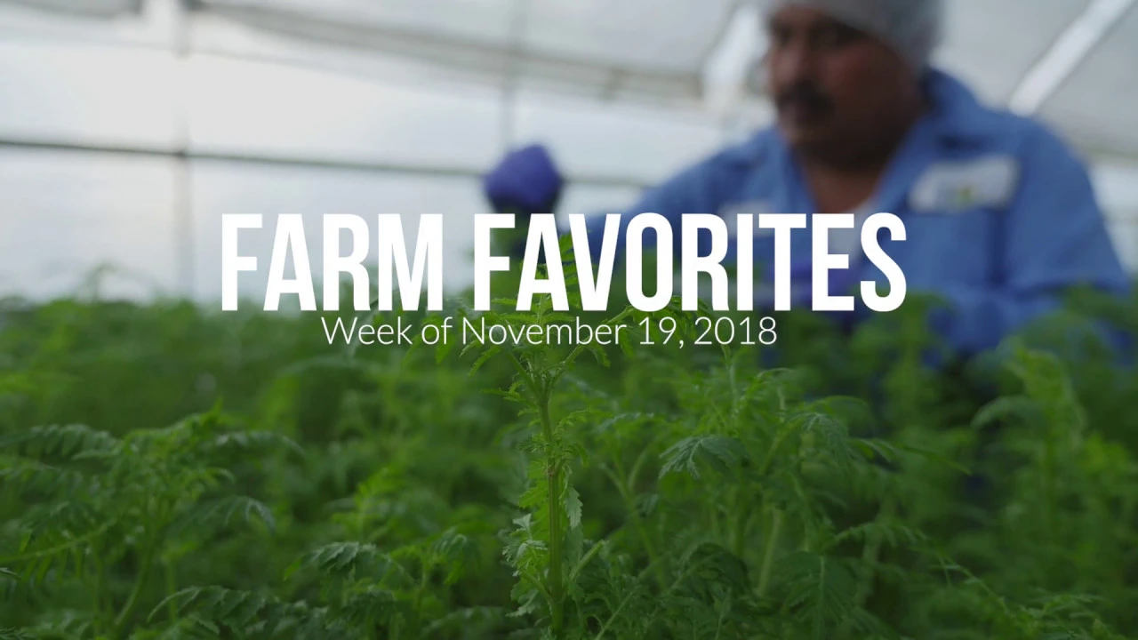 Farm Favorites   Week of Nov. 19, 2018