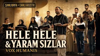 Vox Humanis – Hele Hele & Yaram Sızlar | Şanlıurfa’da Canlı Akustik 🎶