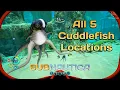 All 5 Cuddlefish Eggs Locations in Subnautica Easy to Follow Where to Find Cuddlefish
