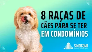 8 Raças de cães para se ter em Condomínio