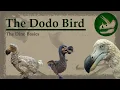 Download Lagu Dodo Bird | Evolution's Punching Bag | Dino Basics