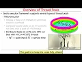 Overview of the Java Executor Framework Part 1