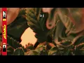 Ezhel & Marwan Moussa - Nane (Lyrics Music Video)