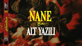                                                   دندنها