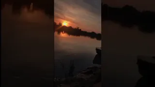 نغمه  هادئه على البحر دندنها