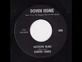 Elmore James - Madison Blues