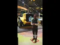Cat Detect Motion Inhibit