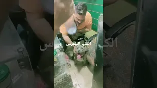 الحب الحب سنيوريتا اكسبلور الكلب المقترس ترند تيك توك  الحب الحب سنيوريتا اكسبلور الكلب المقترس ترند تيك توك