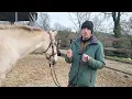 ⭐Real-life example: the horse that rushes, gets hot-headed, how to solve the problem!⭐