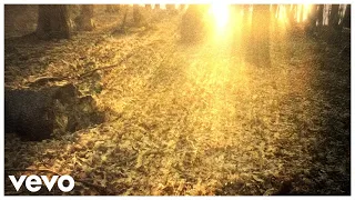 Ludovico Einaudi - Afterglow (Visualiser)