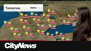 Warm sunny stretch of weather continue in Toronto