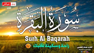سورة البقره كامله HD قرآن كريم بصوت جميل لتحصين المنزل وجلب البركه Surah Al Baqara Quran Recitation 