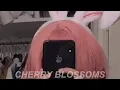 Download Lagu Shady Moon - Cherry Blossoms (prod. CrashBandit) // LYRICS