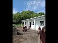 Download Lagu suasana pulang sekolah