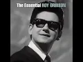 Download Lagu Roy Orbison: There Won't Be Many Coming Home
