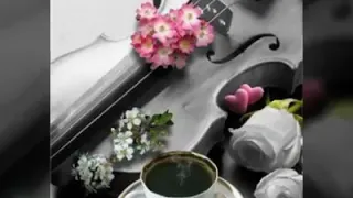 حالات واتس اب مسا الجمال 