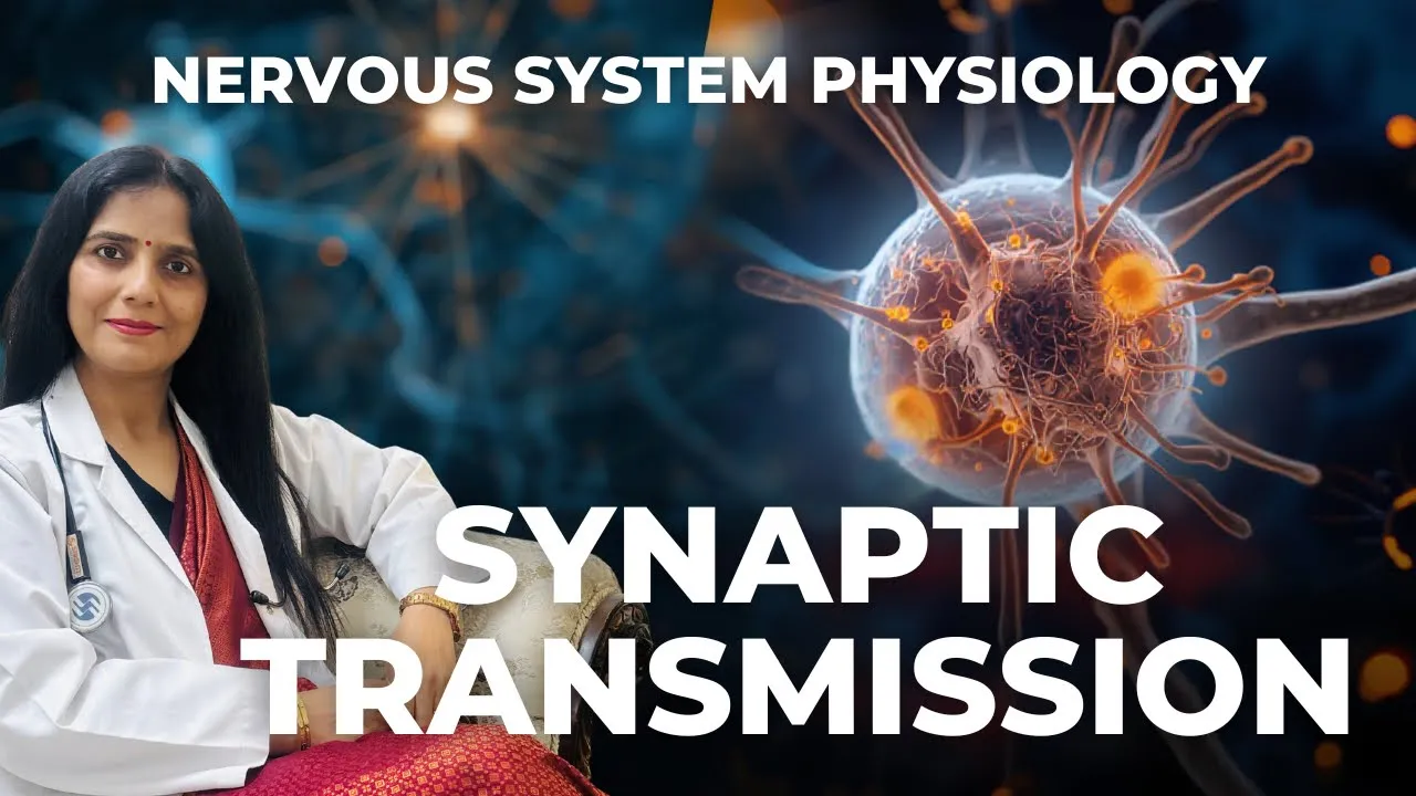 SYNAPTIC TRANSMISSION-1/2
