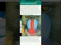 ViewPager with dynamic height Images inside scroll view