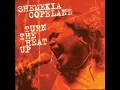 I Always Get My Man - Shemekia Copeland