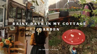 Download Rainy Days In My Cottage Garden 🌧️ 🪴 | Slow Days Gardening 🌹🌸 MP3