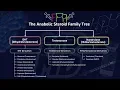 The Anabolic Steroid Family Tree - How Different Steroids Impact Muscle Building Performance