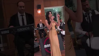 شيرين اللجمي 