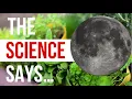 Does Moon Phase Planting REALLY Effect Plants Old Wives Tale OR Based In Science Garden Science