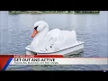 Fox 59 with Indy Maven Featuring Wheel Fun Rentals