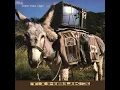Timbuk 3 - The Future's So Bright, I Gotta Wear Shades