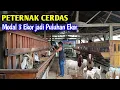 Lagu Peternak Cerdas Bisa Melipat Gandakan Penghasilan Ternak Kambing 