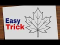 How to Draw a Maple Leaf Easy Drawing Trick for Beginners