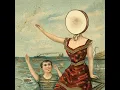 Lagu Neutral Milk Hotel - In The Aeroplane Over The Sea (FULL ALBUM)