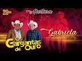 Download Lagu Os Gargantas De Ouro | Abertura-Gabriela DVD 20 Anos (Ao Vivo) Vídeo Oficial