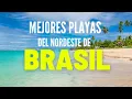 2026 The BEST BEACHES in NORTHEAST BRAZIL