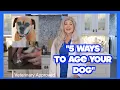 5 Ways to Age Your Dog PET EDUCATION