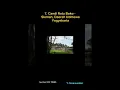 Download Lagu 10 Candi Paling Megah di Indonesia, Sudah Pernah ke Sini?