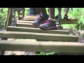 Bear Camp Cabin - Adventure Park Treeptop Adventure