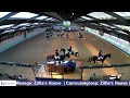 Download Lagu Zilfia's Hoeve - VCN Carrouselwedstrijd - Manege de Eenhoorn - 12 Juni 2022