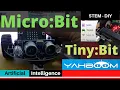 Working with Micro Bit Tiny Bit Part How to Add Yahboom Plugin on Makecode