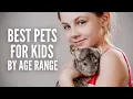The 21 Best Pets For Kids By Age Range